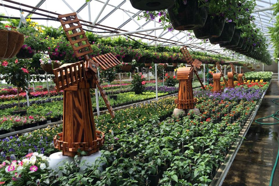 Pella Floral & Greenhouse photo
